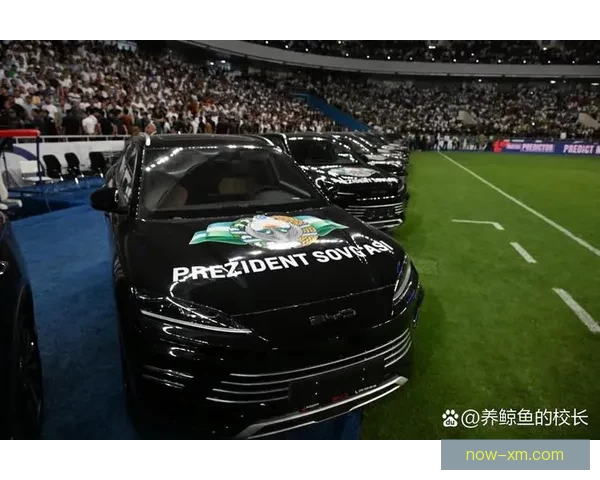 美加墨世界杯竞猜平台助你轻松预测赛果赢取丰厚奖励